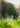 TOWA's Spring Sale - TOWA Industries, Inc.